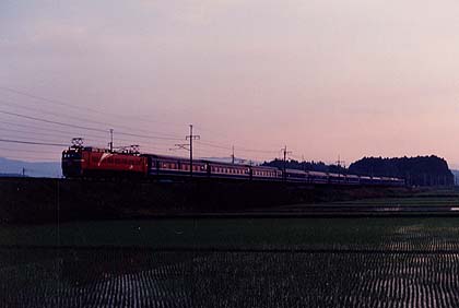 h07hF_06.jpg (13397 oCg)
