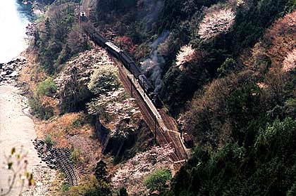 h05h1_07.jpg (75825 oCg)