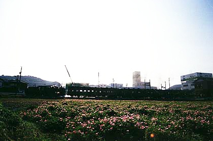 h05h1_09.jpg (37211 oCg)