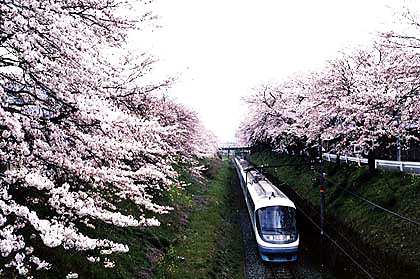 h05h1_10.jpg (83080 oCg)