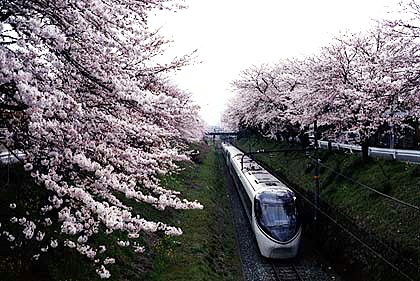 h05h1_11.jpg (79064 oCg)
