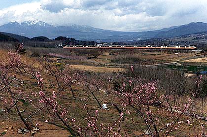h05h2_10.jpg (72617 oCg)