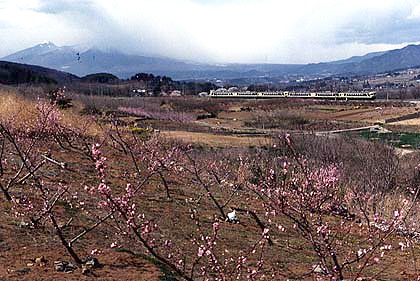 h05h2_11.jpg (70943 oCg)