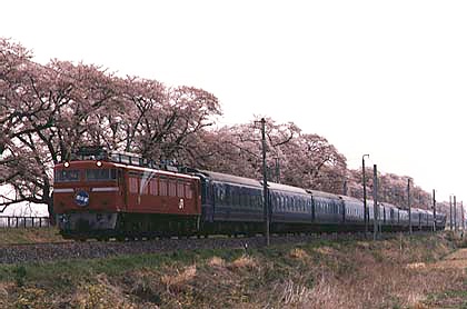 h05h3_09.jpg (46901 oCg)