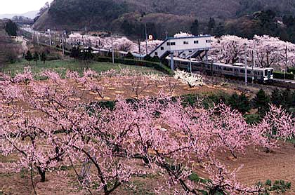 h05h3_10.jpg (84074 oCg)