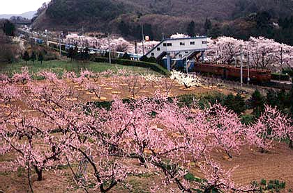 h05h3_11.jpg (82508 oCg)