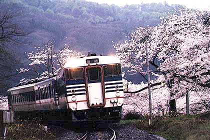 h05h4_03.jpg (80008 oCg)