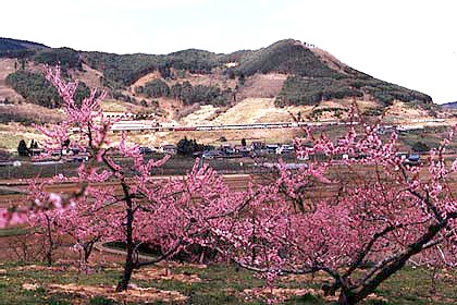 h05h4_06.jpg (75460 oCg)