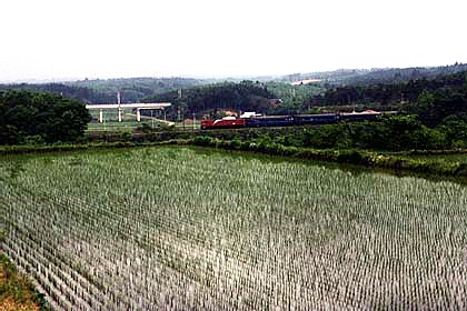 h05h8_04.jpg (59441 oCg)