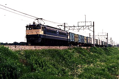 h05n1_01.jpg (56564 oCg)