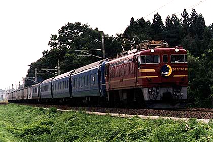 h05n2_08.jpg (60961 oCg)