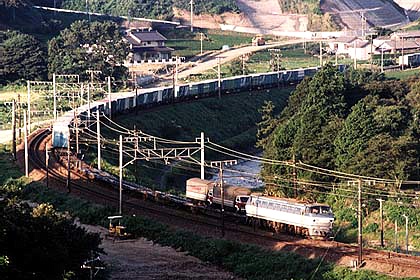 h05n5_01.jpg (83038 oCg)