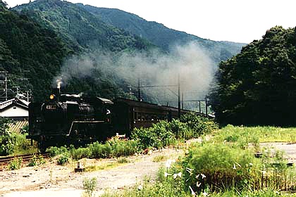 h05n5_06.jpg (64344 oCg)