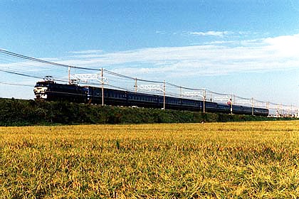 h05n5_09.jpg (68571 oCg)