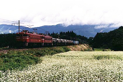 h05n6_05.jpg (65982 oCg)