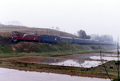 h01_189.jpg (35238 oCg)