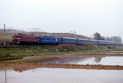h01_194.jpg (31745 oCg)