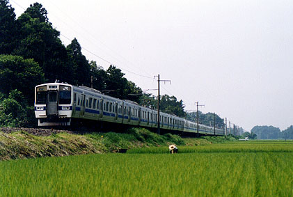 h01_247.jpg (37217 oCg)