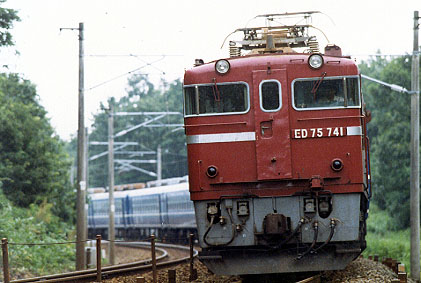 h01_255e.jpg (42551 oCg)