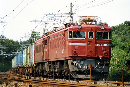 h01_265.jpg (55412 oCg)