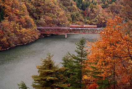 h01_323.jpg (62543 oCg)