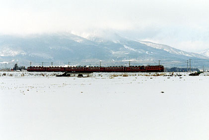 h02_018.jpg (20344 oCg)