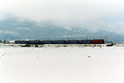 h02_020.jpg (22246 oCg)