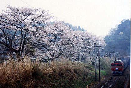 h02_099.jpg (52219 oCg)