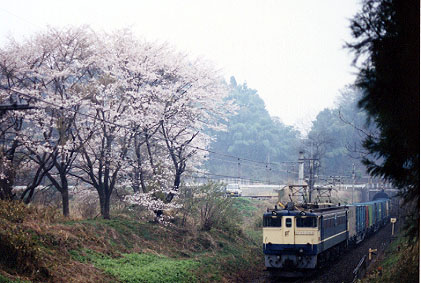 h02_100.jpg (46371 oCg)