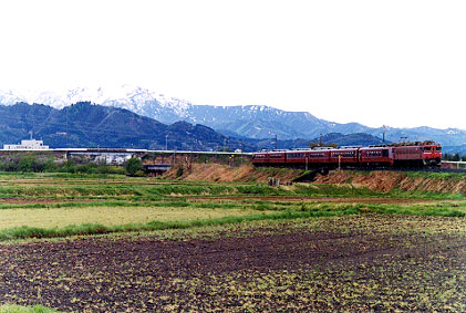 h02_140.jpg (52402 oCg)