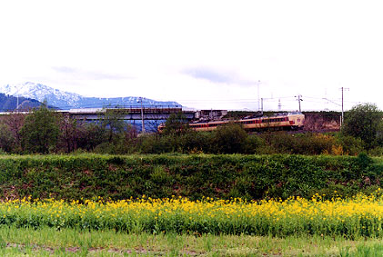 h02_146.jpg (51452 oCg)