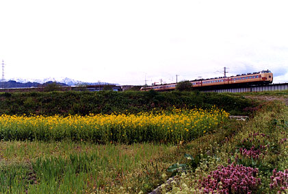h02_148.jpg (48408 oCg)