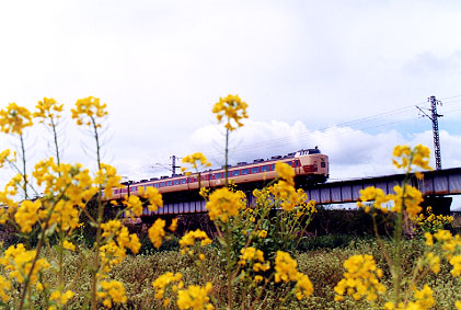 h02_149.jpg (52329 oCg)