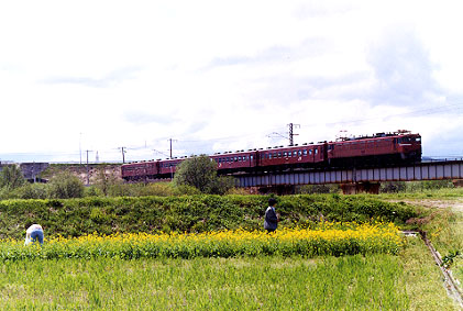 h02_152.jpg (49153 oCg)