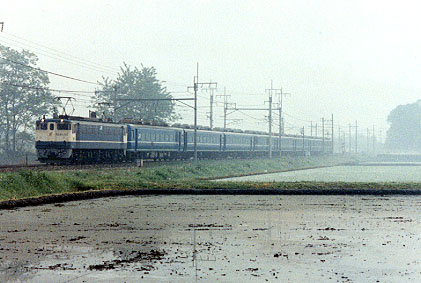 h02_161.jpg (40628 oCg)