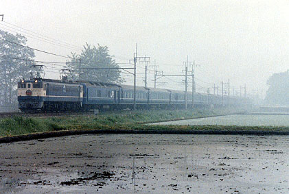 h02_163.jpg (40904 oCg)