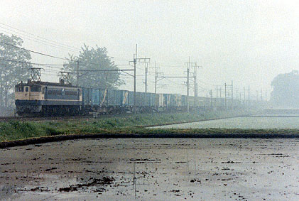 h02_164.jpg (42373 oCg)