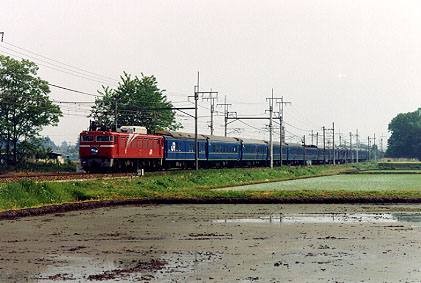 h02_172.jpg (43294 oCg)