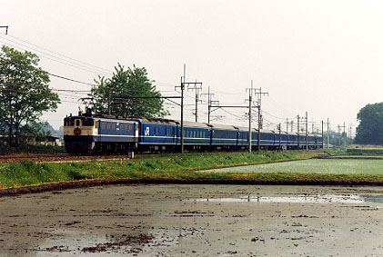 h02_173.jpg (43358 oCg)