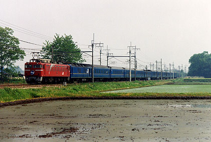 h02_180.jpg (42237 oCg)