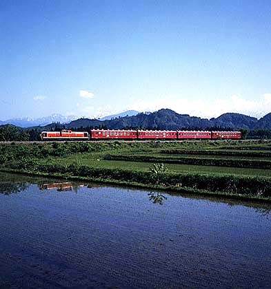 hmban003.jpg (31565 oCg)