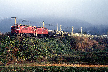 hmban124.jpg (64250 oCg)