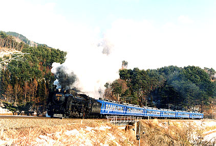 hmban172.jpg (60705 oCg)