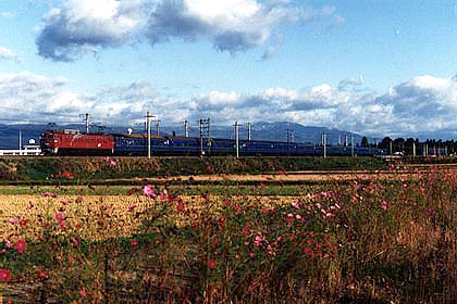 h05a2_03.jpg (65327 oCg)
