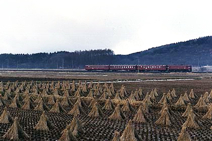 h06f2_05.jpg (49632 oCg)