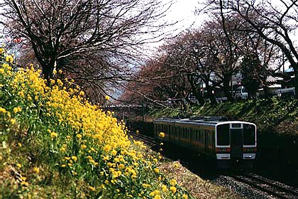 h06h1_03.jpg (95012 oCg)