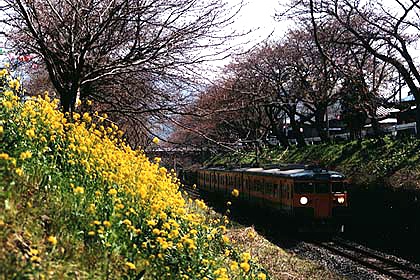 h06h1_04.jpg (95617 oCg)