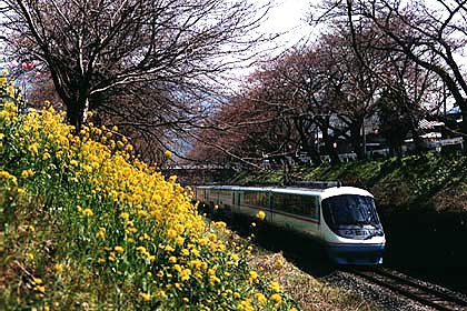 h06h1_05.jpg (96283 oCg)