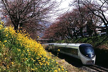 h06h1_06.jpg (96273 oCg)