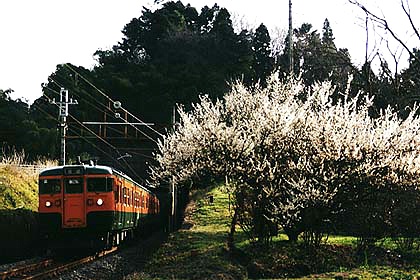 h06h2_01.jpg (76425 oCg)